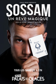 Le Palais des Glaces