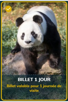 Zoo de Beauval